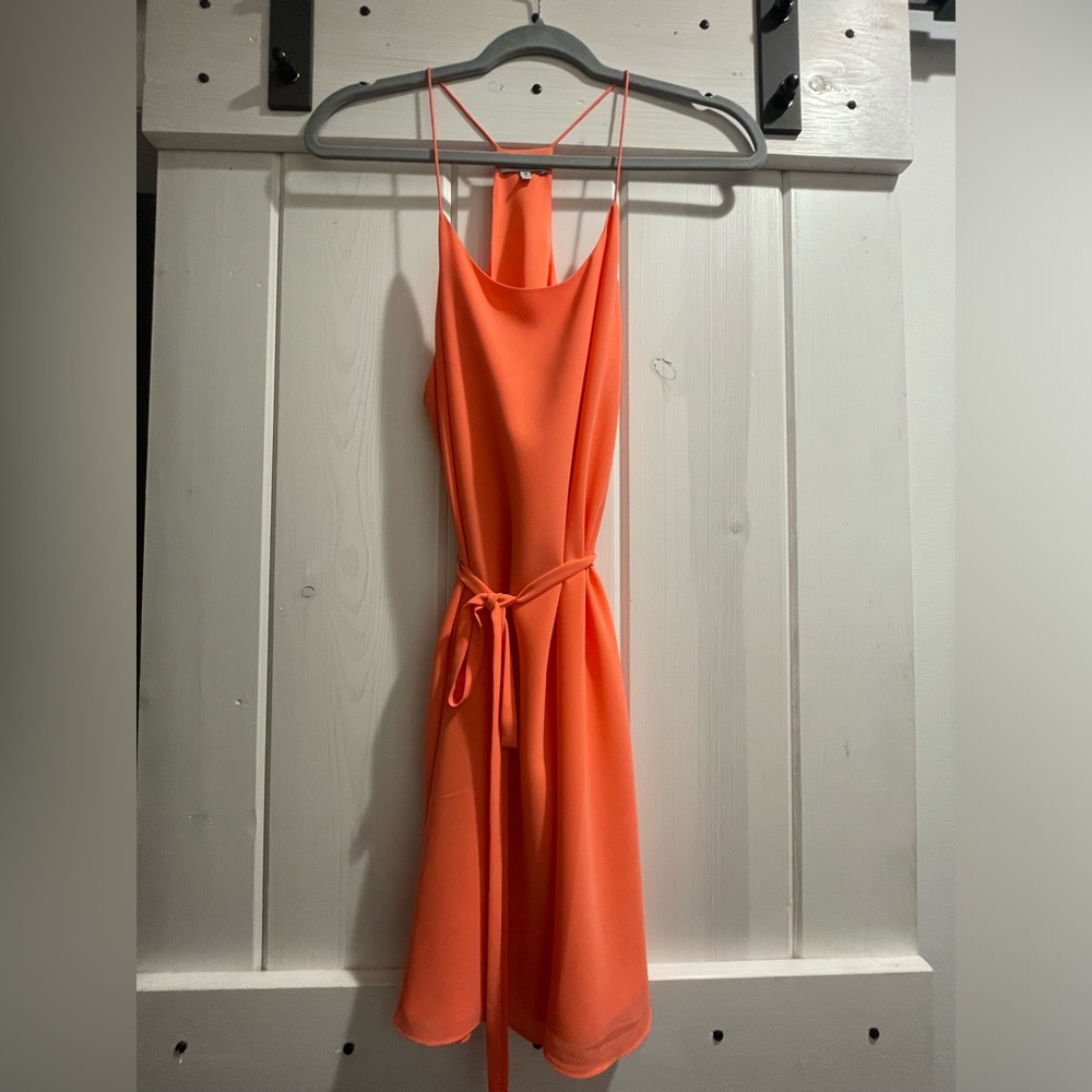 NWT Naked Zebra Summer Dress